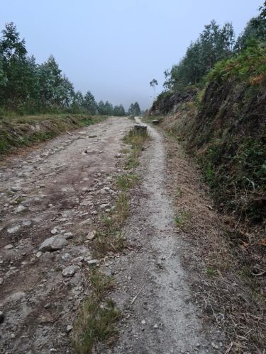 206647342 1723208877863422 5608698399299343159 n