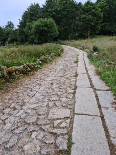 209366867 1721754561342187 7804227707512068857 n