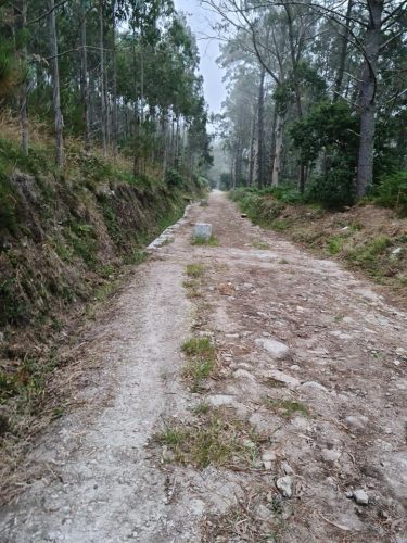 209618425 1723208841196759 2258309012800059252 n