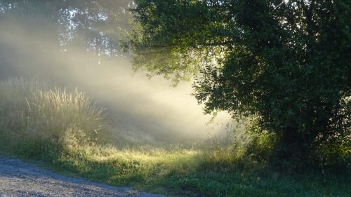 COMPOSTELLE  20210717 031 (1)